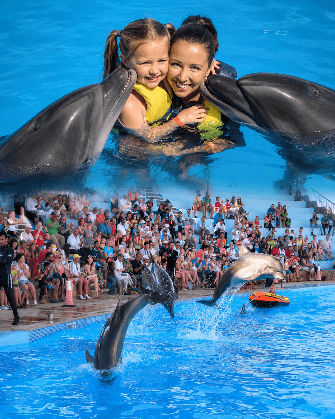 Dolphin Show & Swimming with Dolphins